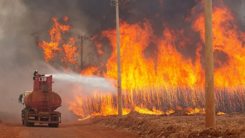 Sobe para 46 o número de cidades de SP em alerta máximo para queimadas