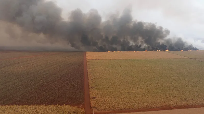 Polícia Federal vai investigar causa dos incêndios no interior de São Paulo