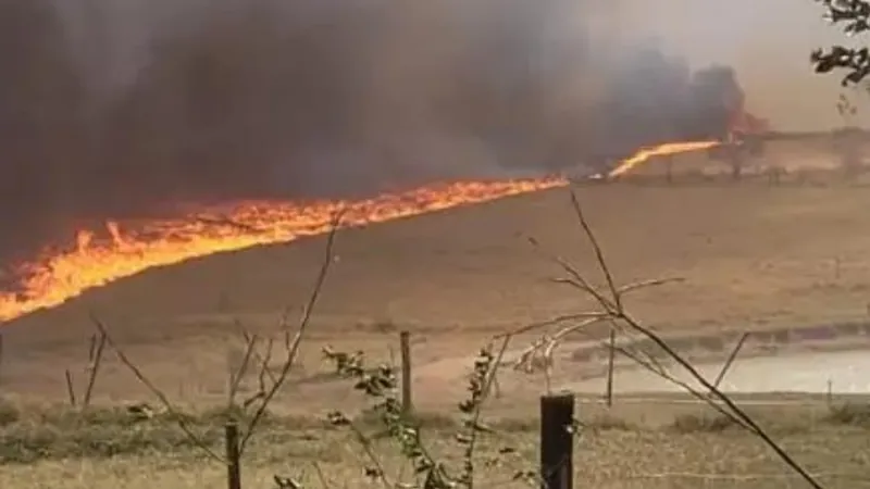 Casas são evacuadas em área rural de Lucélia por causa dos incêndios