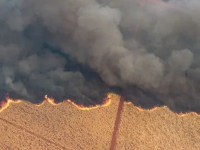 Estado de SP tem 15 cidades com focos ativos de incêndio