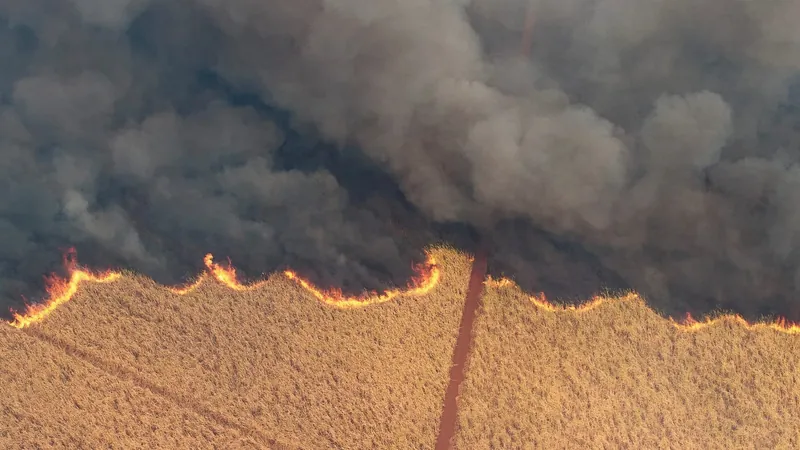 Governador de SP confirma 3 prisões no interior por incêndios criminosos