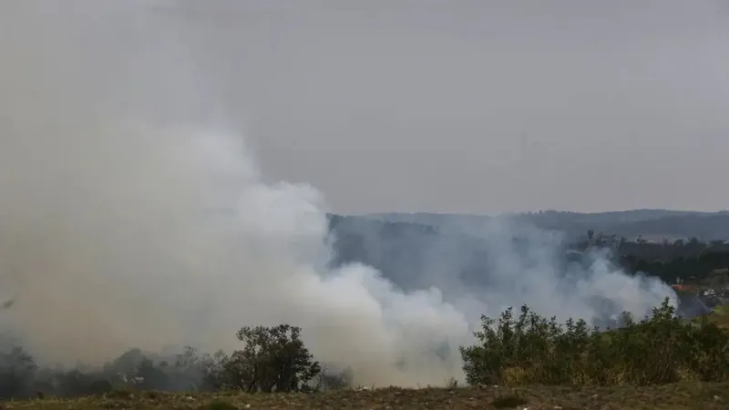 Produtores de cana têm prejuízo estimado de R$ 800 milhões com incêndios