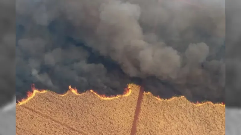 Sobe para seis número de presos pelos incêndios em São Paulo