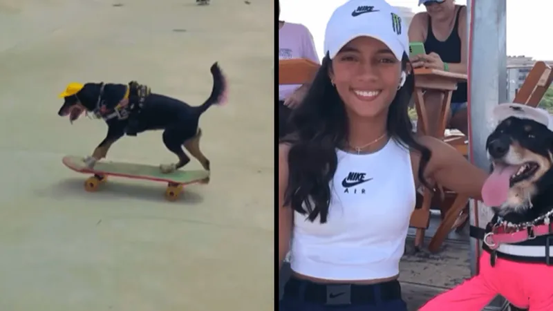 Cachorra faz sucesso andando de skate em São Paulo