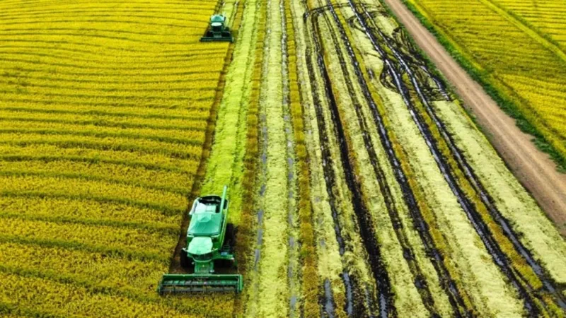 47ª Expointer: produção de grãos no RS pode chegar a 35 milhões de toneladas na safra de verão