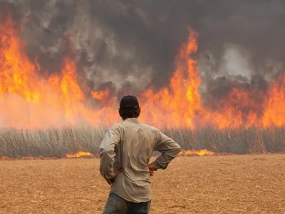 Sobe para 25 o número de presos envolvidos em incêndios de vegetação em SP