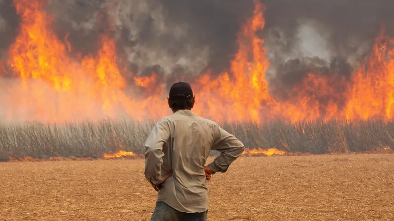 Sobe para 25 o número de presos envolvidos em incêndios de vegetação em SP