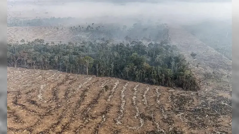 Rondônia decreta estado de emergência por causa dos incêndios florestais