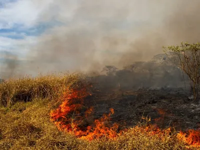 Focos de incêndio são controlados no Vale do Paraíba após mais de 24 horas