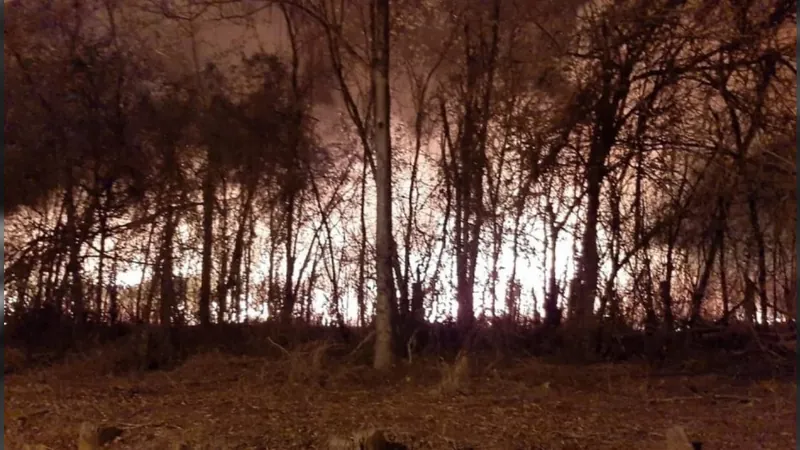 Incêndio de grande proporção atinge área de mata na estrada do Tanquã, em São Pedro