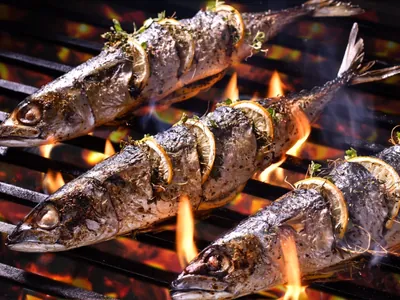 Peixes e Frutos do Mar