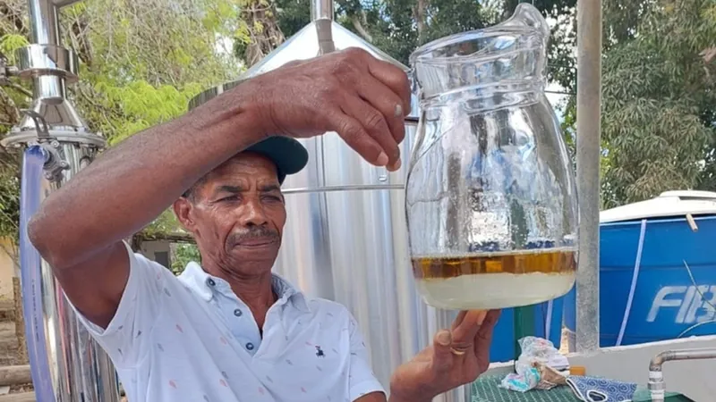 Como uma praga virou fonte de renda para agricultores na Bahia