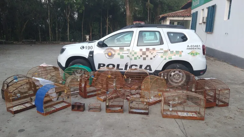 PM Ambiental apreende 24 aves silvestres mantidas ilegalmente em cativeiro em Pindamonhangaba