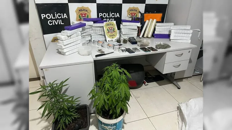 Mais de 30 tijolos de maconha são apreendidos em Salto