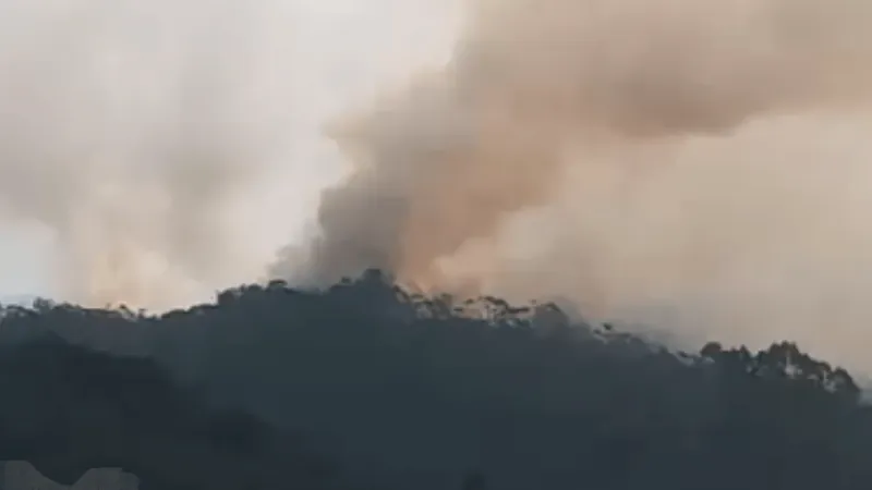 Defesa Civil e Bombeiros monitoram incêndio no Parque Estadual da Serra do Mar, em Cunha