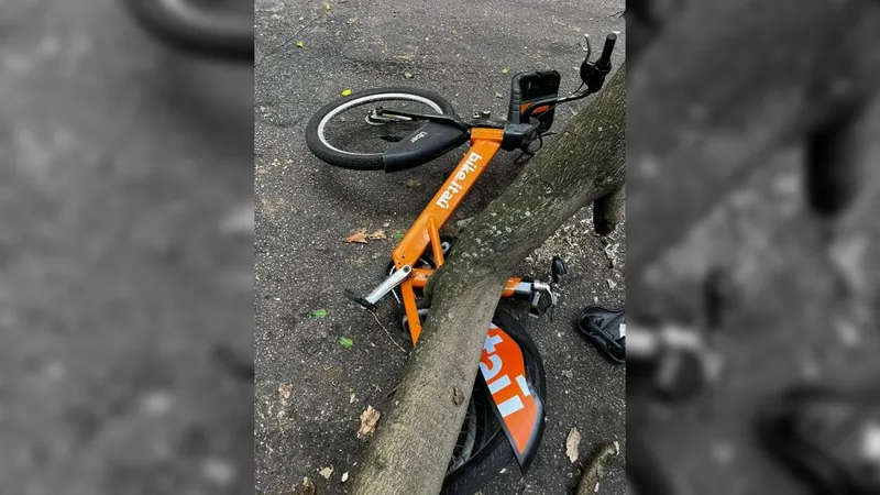 Árvore cai e fere ciclista em Laranjeiras