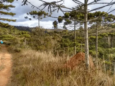 Trilhas do Parque Estadual de Campos do Jordão serão fechadas por conta do risco de incêndio