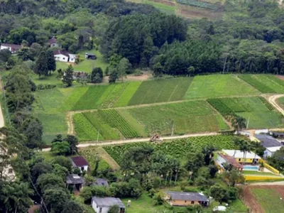 Cidade de São Paulo tem zona rural e terras indígenas; veja o que se produz na capital