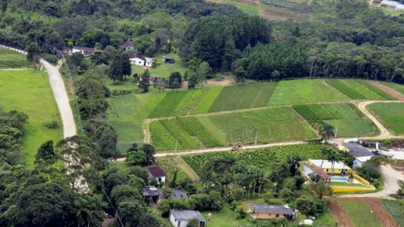 Cidade de São Paulo tem zona rural e terras indígenas; veja o que se produz na capital