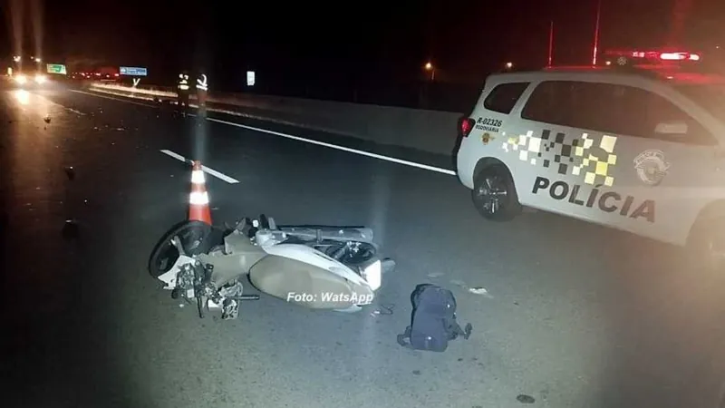 Motociclista morre após atropelar boi em rodovia de Garça