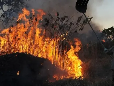 Incêndios no Brasil já devastaram área correspondente a quase três vezes o tamanho do RJ