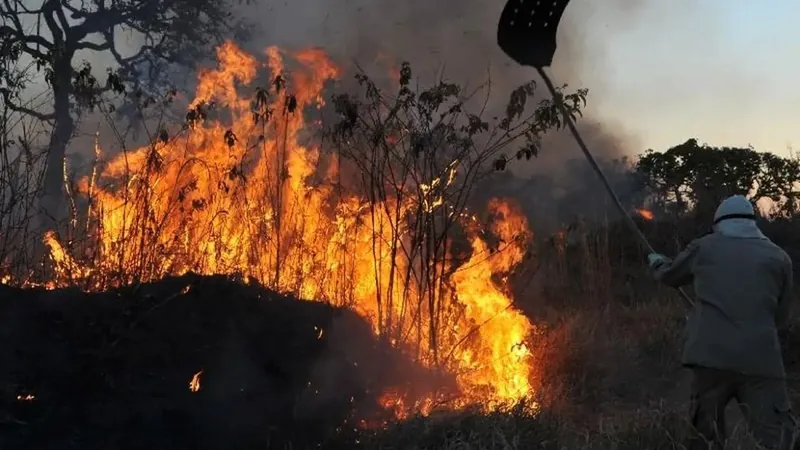 Brasil vive maior seca da história e registra mais de 9 mil focos de incêndio em dois dias