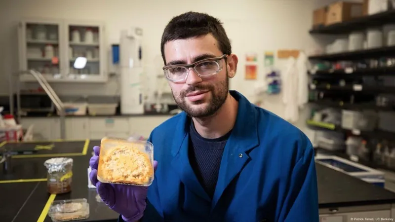 Conheça o fungo que pode revolucionar a gastronomia e o combate ao desperdício de alimentos