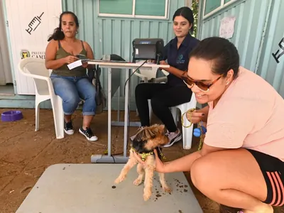 Consultório Veterinário Móvel de Barão Geraldo começa a atender nesta segunda-feira (09)