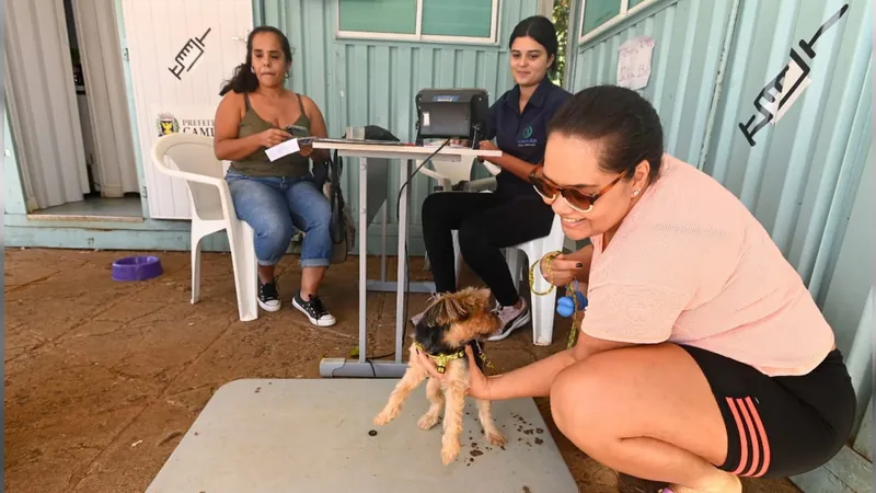 Consultório Veterinário Móvel de Barão Geraldo começa a atender nesta segunda-feira (09)