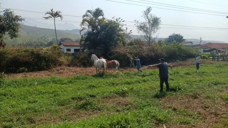 Homem é autuado por abandono e maus-tratos a animais de grande porte em Piquete