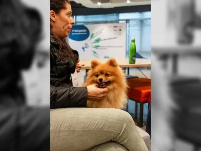 Mau comportamento pode ser sinal de dor em cães e gatos; saiba como identificar