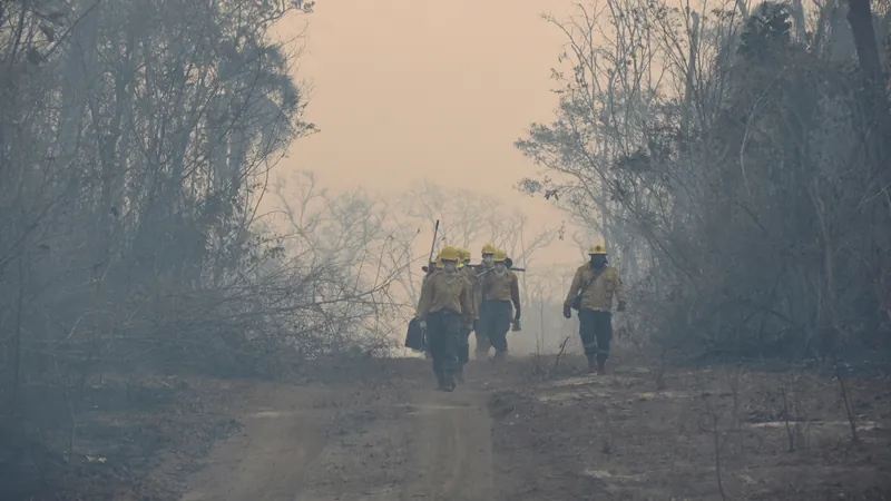 Brasil envia equipe de bombeiros para combater incêndios na Bolívia