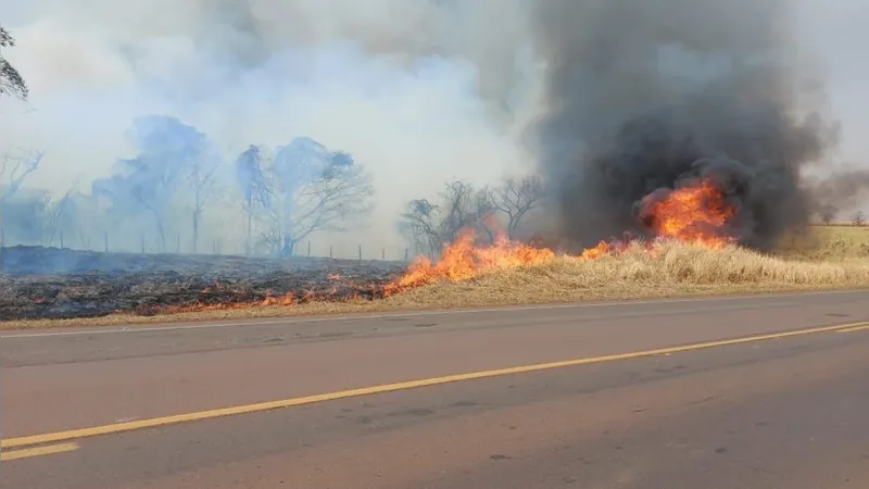 Estado de São Paulo têm 10 focos de incêndio e segue em alerta de emergência