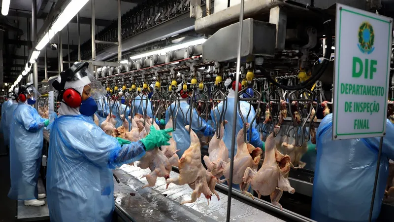 Exportações de carne de frango crescem 3% e alcançam novo recorde