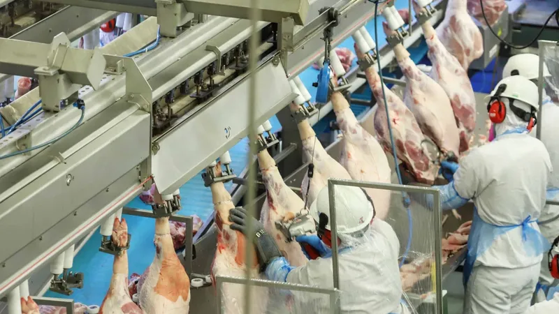 Exportações de carne suína batem recorde com receita de US$ 3 bilhões