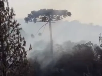 Incêndios em Campos do Jordão (SP) são extintos após mais de 20 horas