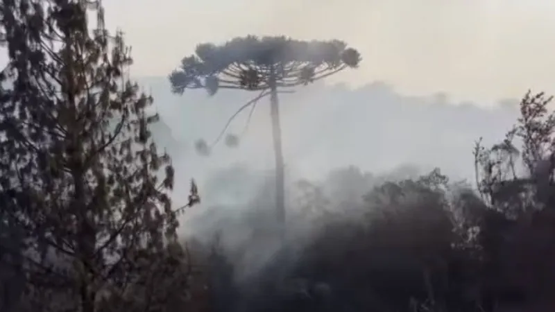 Incêndios em Campos do Jordão (SP) são extintos após mais de 20 horas