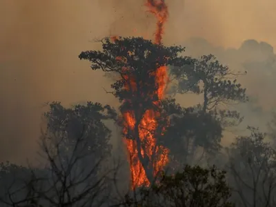 Medidas contra mudanças climáticas precisam ser preventivas e não reativas, diz especialista