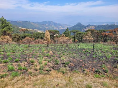 Suíça brasileira? Paisagem de Campos do Jordão (SP) muda após dia de incêndios