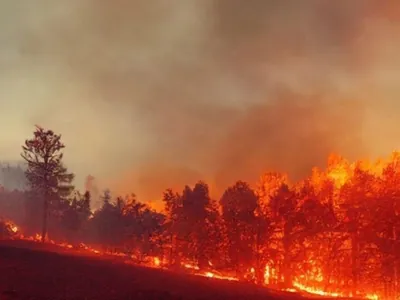 Medida Provisoria destina R$ 938 milhões para ações de combate à seca e a incêndios florestais