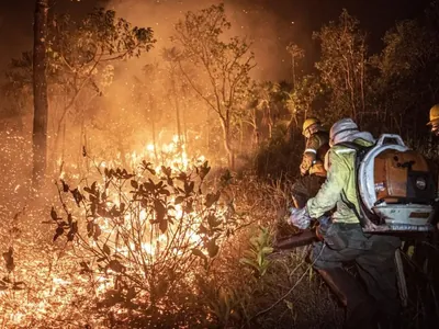 Brasil teve 11,39 milhões de hectares atingidos pelo fogo este ano