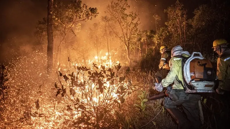 Brasil teve 11,39 milhões de hectares atingidos pelo fogo este ano