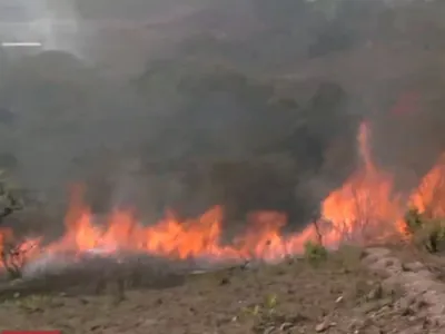 Corpo de Bombeiros tenta enfrentar queimadas que não param no Distrito Federal