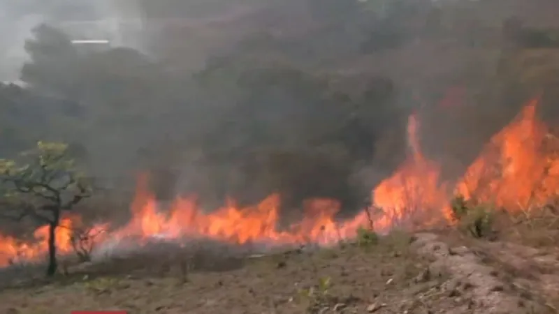 Corpo de Bombeiros tenta enfrentar queimadas que não param no Distrito Federal