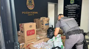 PM apreende 20 mil maços de cigarros importados sem nota fiscal; uma pessoa foi presa