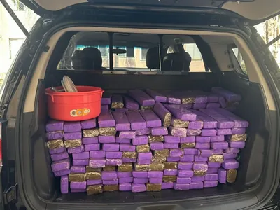 Carro é apreendido com mais de 300 Kg de drogas em Rio Preto