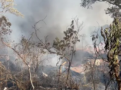 Incêndio atinge área de mata na Vila Ipê, em Campinas