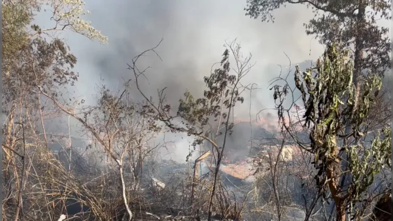 Incêndio atinge área de mata na Vila Ipê, em Campinas