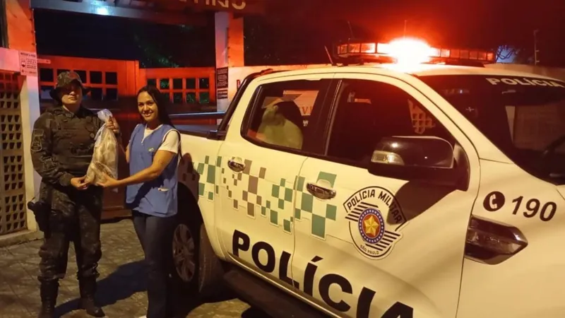 Polícia Ambiental apreende pescado irregular em quiosques e restaurantes no Litoral Norte de SP