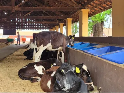 Começa a 61ª Expo Rio Preto Sicredi